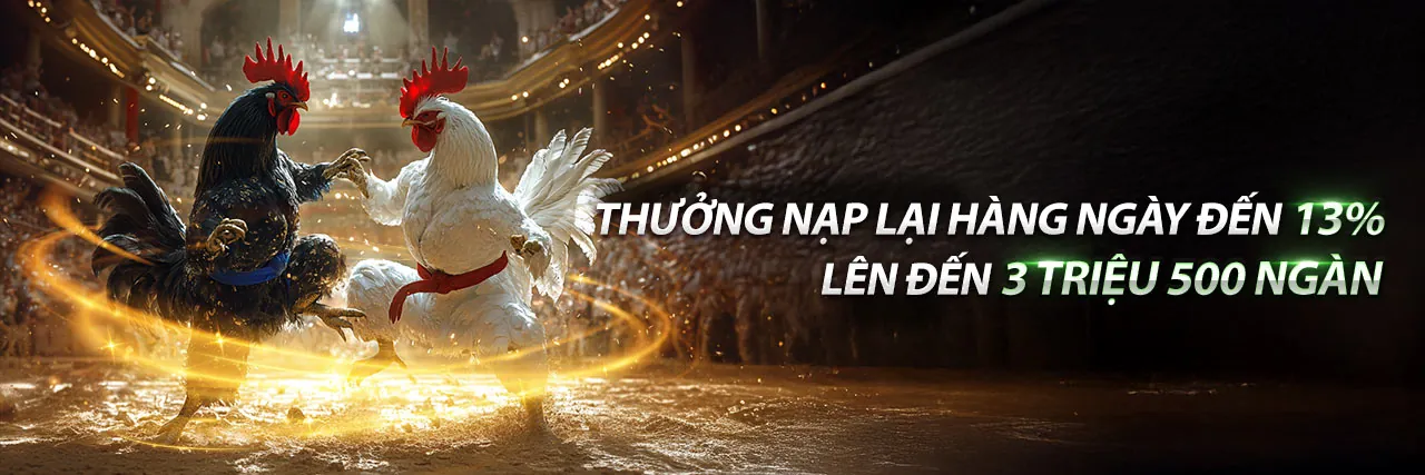 Hình ảnh chính sòng bạc 999ok trang chủ